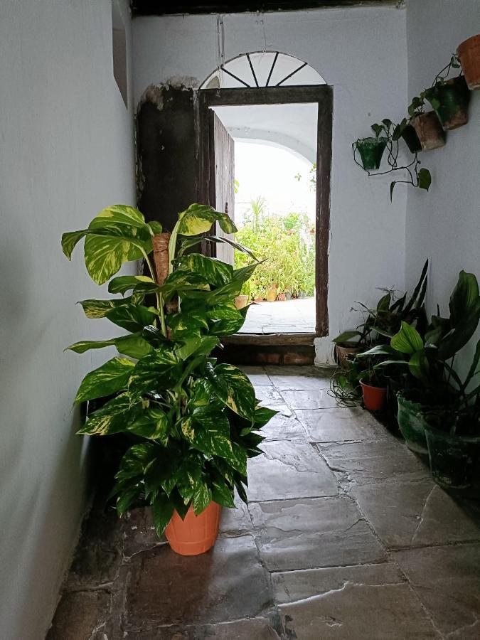 Casa Amalfi, Coqueta Casa Centro Historico De Vejer Apartment Вехер де ла Фронтера Екстериор снимка