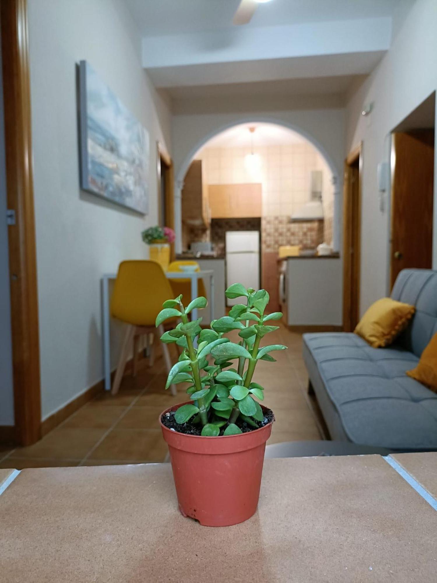 Casa Amalfi, Coqueta Casa Centro Historico De Vejer Apartment Вехер де ла Фронтера Екстериор снимка